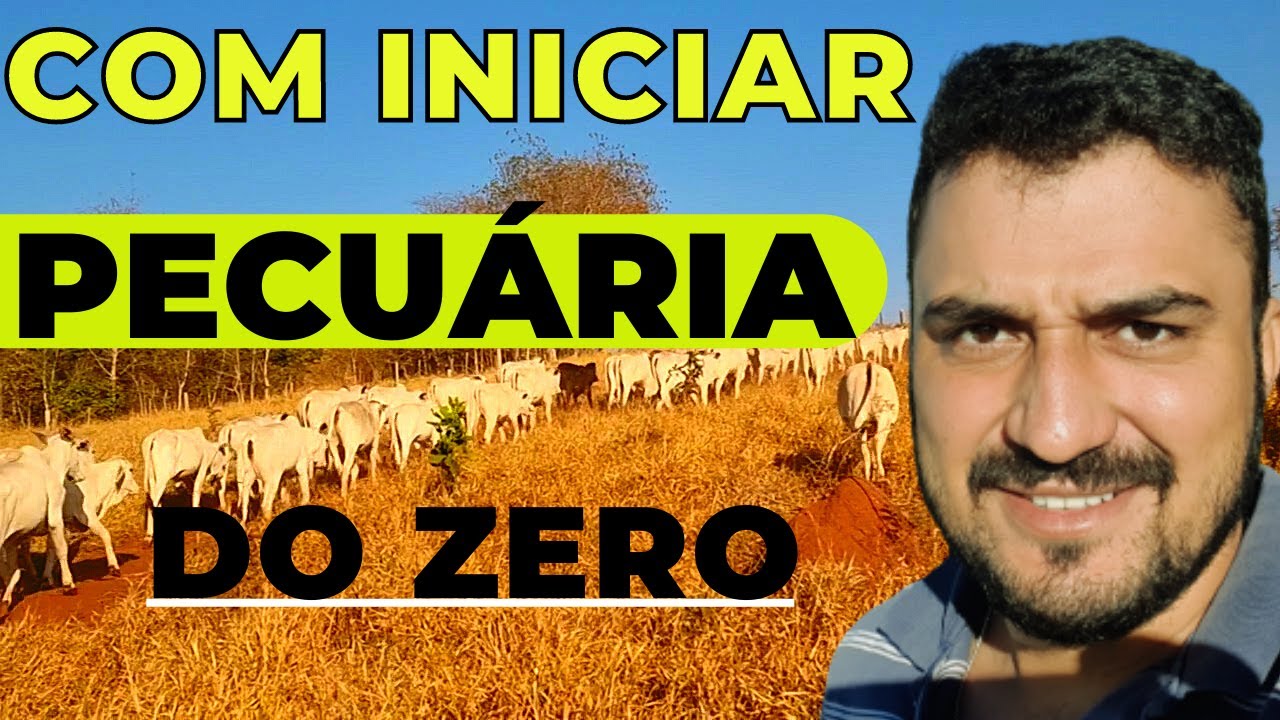 05 Dicas para Iniciar na Pecuária do Zero