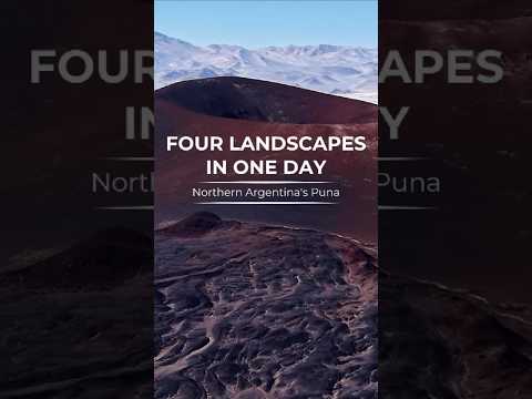 The Loneliest Place on Earth: Puna de Atacama 🇦🇷 #Shorts #Catamarca