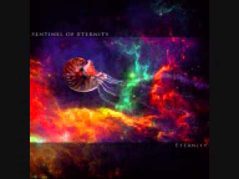 sentinel of eternity - 11.eternity