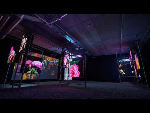 LUX: Hito Steyerl - This is the Future