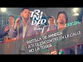 Pastillas De Amnesia, A Ti te Encontre en la Calle, No La Toque - Grupo Trinidad (VideoClip Oficial)