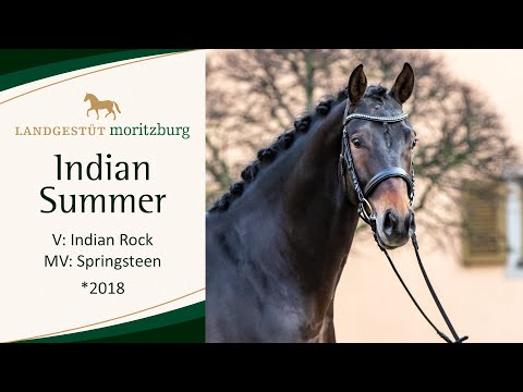 INDIAN SUMMER v. Indian Rock - Springsteen 2023