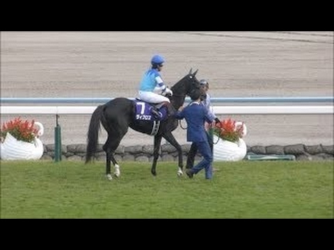 【競馬】　第21回 秋華賞(G1)　2016.10.16 　ヴィブロス＆福永祐一勝利騎手インタビュー