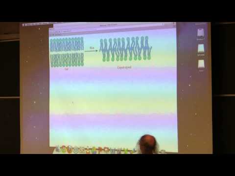 Kevin Ahern's BB 350 (Lipids & Membranes) 2014 - #12