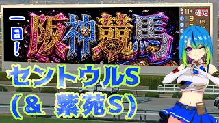 【誕生日競馬】誕生日なので一日阪神競馬の馬券を買う！