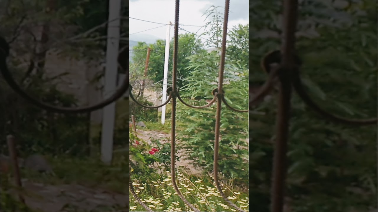 bank işi kursları sanki bizim üçün sizin diqqətiniz