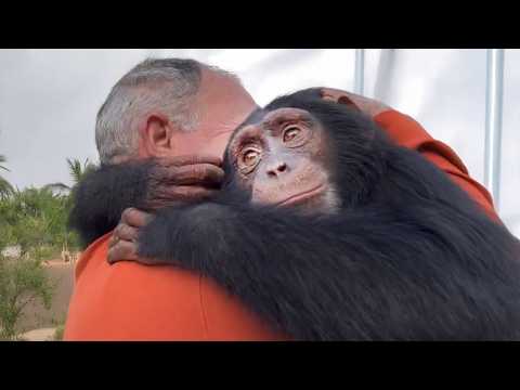 Les plus beaux moments des animaux réunis avec leurs maîtres après des années d'absence