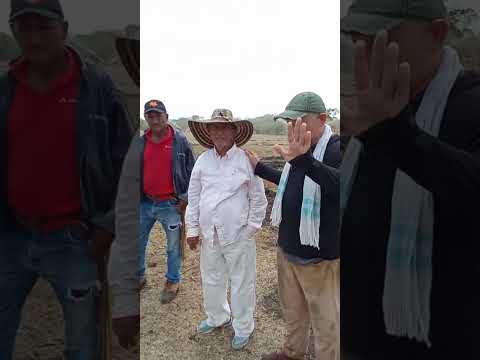 Sistema de riego para Cultivo de pasto para pastoreo ganadero en Zapayán Magdalena