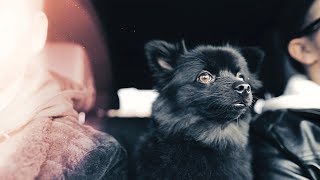 Nomy - The end of the world