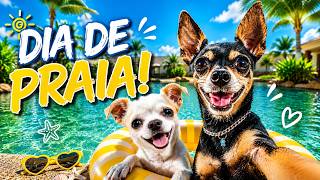 MEUS CACHORROS ROU*AR*AM MEU CELULAR E GRAVARAM SUAS AVENTURAS NA NOSSA PRAIA!