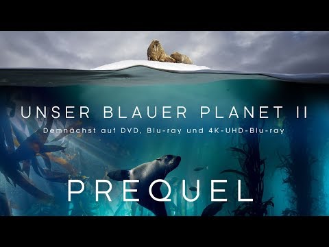 Unser blauer Planet II - Teaser 1 [HD] Deutsch / German