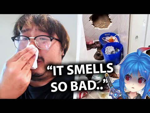 Revealing Damages Left By A Nightmare Squatter | Leaflit Reacts