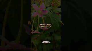 Download lagu Hidup Itu Singkat - Video Status Islami - Video Pendek Islami - Status Islami Bahasa Inggris #islamicstatus mp3 Download lagu Hidup Itu Singkat - Video Status Islami - Video Pendek Islami - Status Islami Bahasa Inggris #islamicstatus mp3