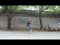 Shaolin Duan Pin 3 - Wu Xing Quan