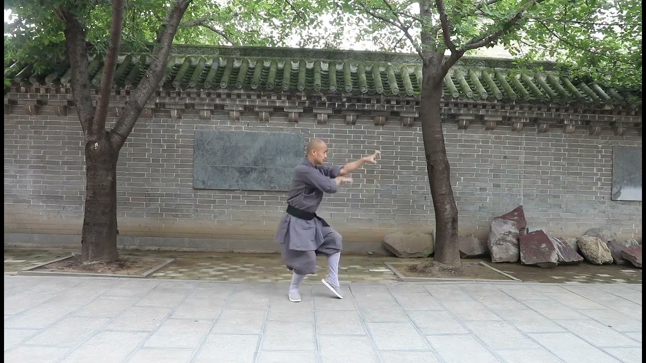 Shaolin Duan Pin 3 - Wu Xing Quan