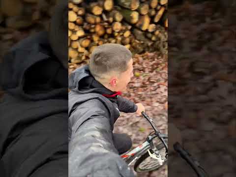 Seven rattrape madame ! 😂 #malinois #dog #chien