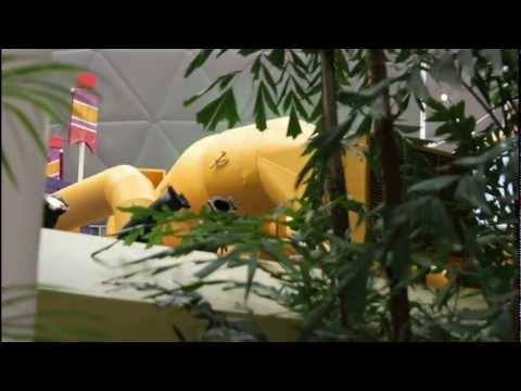 Inside The Wonders Of Life Pavilion - Closed Epcot Dome