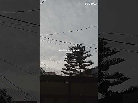 dan karna itu aku akan melampiaskn emosi ku ||ank yg hebat,kuat