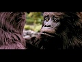 Bheege Hoth Tere Song Gorilla Romantic Version