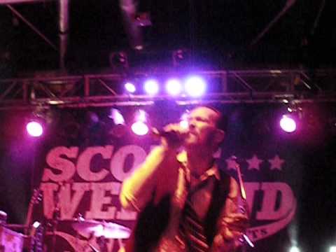 Scott Weiland & The Wildabouts, Modzilla
