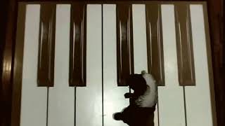 SoundZonePianoNew | LuminVision