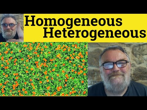 😎 Heterogeneous Meaning - Homogeneous Defined - Heterogeneous Examples - Homogeneous Definition