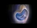 Passion- -last temptation of christ-sources album.-Peter Gabriel