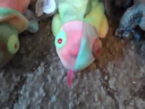 Selling Beanie Babies (: