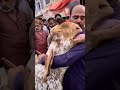 Bakra Ro Raha Hai Apne Malik Se Judaa Hokar Bakra Viral Trending