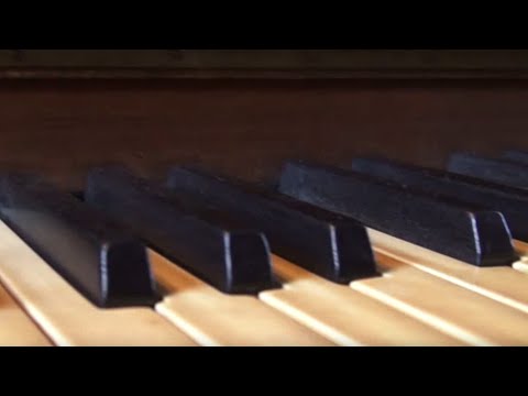 karacter 500 on organs