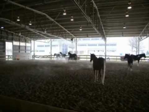 VA Tech EAP Bullying Session Part 1