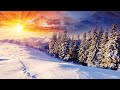 Sunny winter landscapes 🎄 🎄 🎄