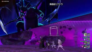 【DQX】輝晶獣ドグドラ 0分36秒 盗賊視点 高速周回用