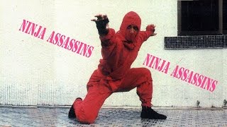 Wu Tang Collection - Ninja Assassins