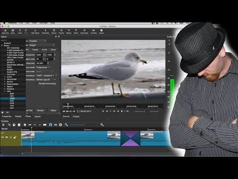 ShotCut Tutorial - All Beginners Need to Know to Get Started With the ShotCut Video Editor