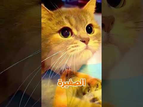 الزحليقة اللي بتخفي الناس 😱