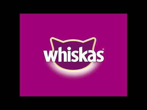 **free* whiskas type beat - whiskas prod. yysvv33t