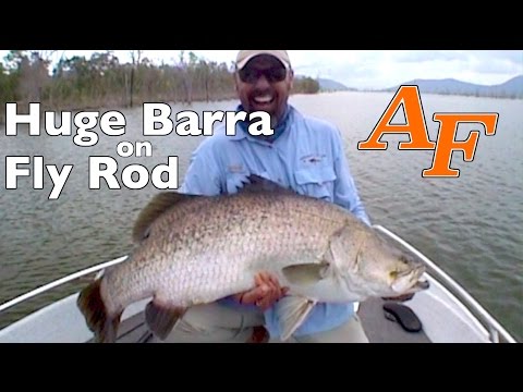 BIG Barramundi on Fly