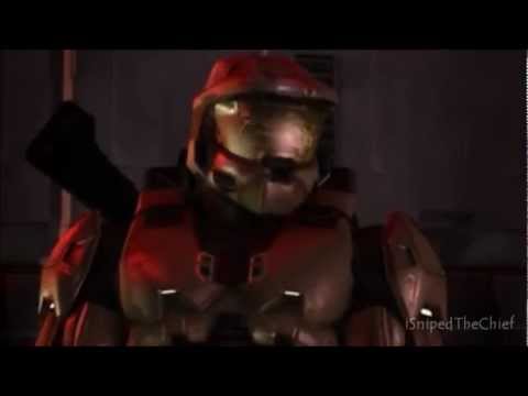 Red vs Blue -  York Tribute