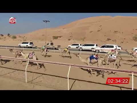 الشوط 18 (مجره) لـ مبارك سهيل بالحطم العامري 6:19 , شارة الديوان 2025/10/25 لقايا اللبسه 