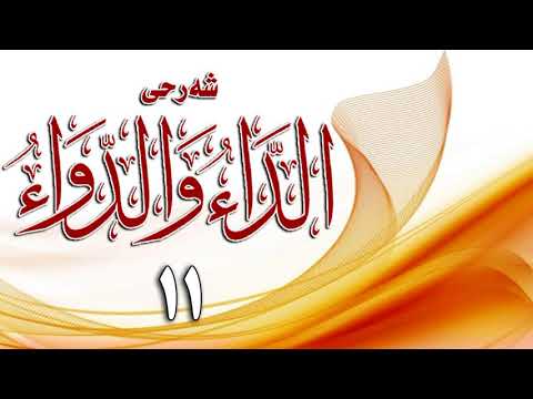 وانەی یازدەیەم