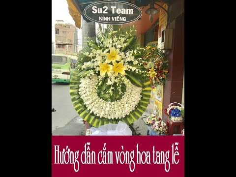 download lagu mp3 mp4 Hoa đám Ma, download lagu Hoa đám Ma gratis, unduh video klip Download Hoa đám Ma Mp3 dan Mp4 Free All Gratis