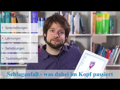 Schlaganfall – was dabei im Kopf passiert - NetDoktor.de
