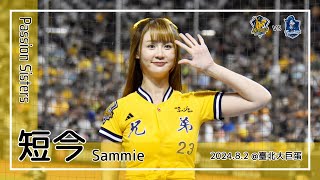 【台湾チア】短今 Sammie | Passion Sisters | 詹子賢,陳子豪,陳俊秀 應援曲 + 嗆司曲 兄弟精神 [中文歌詞]