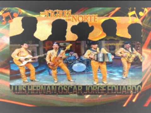 No volvere - Los Tigres Del Norte