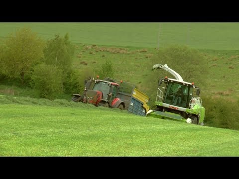 Cumbrian Silage '19 - Claas Jaguar 860 and JCB, MF, Valtra and New Holland