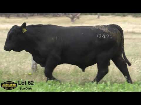 GRANITE RIDGE QUOKKA Q491