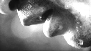 F/A 62: Der Prager Handgriff - Bilder meiner angst