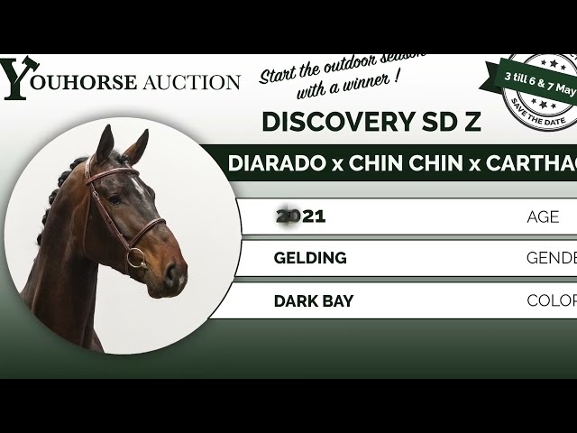 Discovery SD Z homevideo