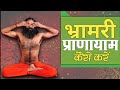भ्रामरी प्राणायाम कैसे करें Swami Ramdev